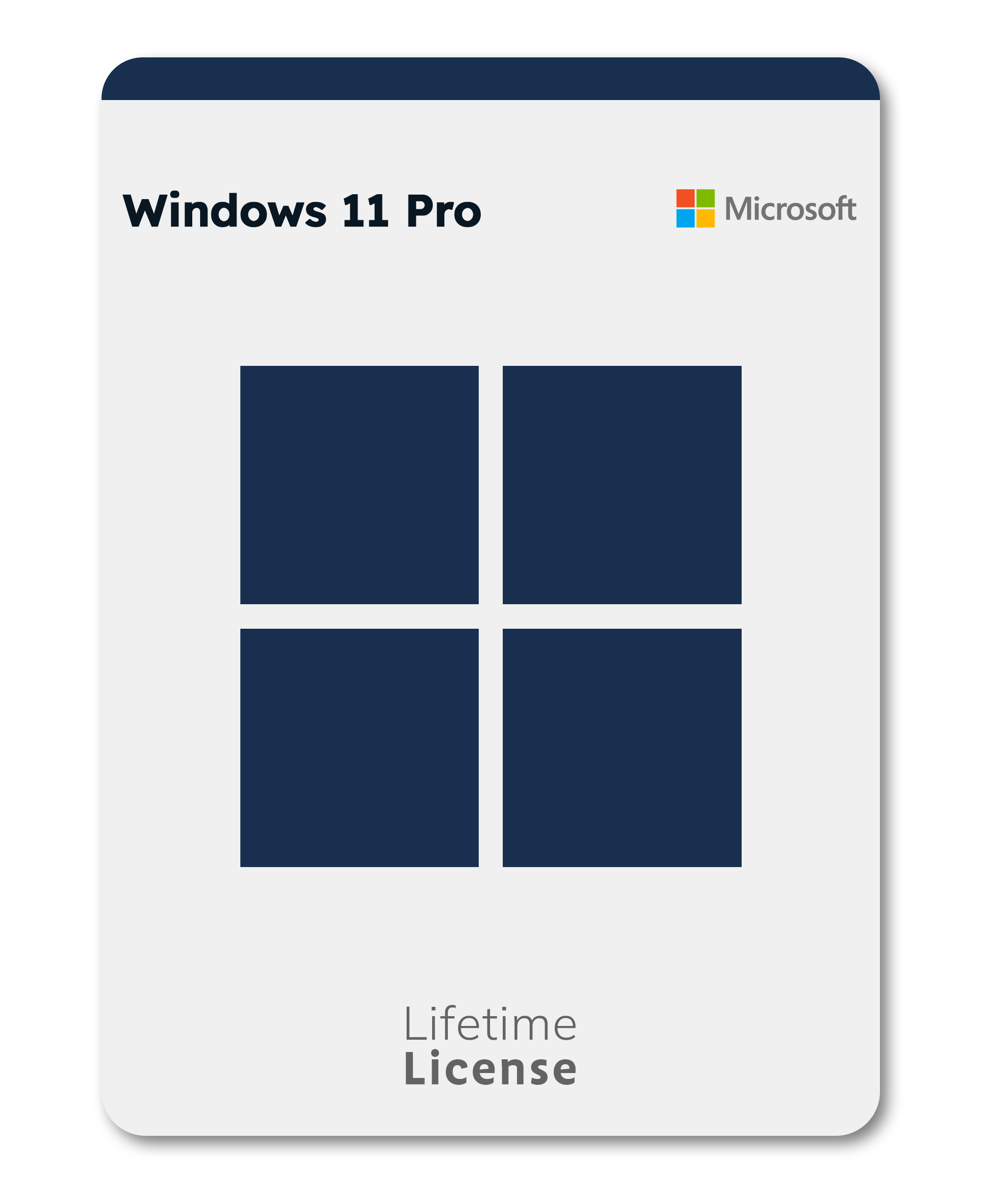 Windows 11 Pro